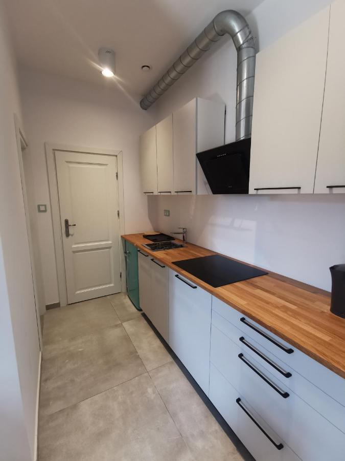 Nowe Apartamenty Zamkowa Vis A Vis Wawelu Krasków Exterior foto